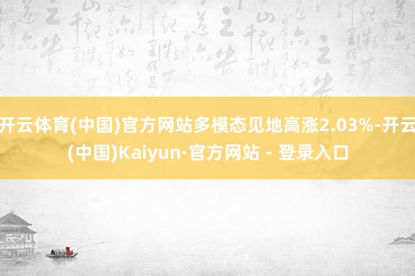 开云体育(中国)官方网站多模态见地高涨2.03%-开云(中国)Kaiyun·官方网站 - 登录入口
