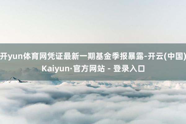 开yun体育网凭证最新一期基金季报暴露-开云(中国)Kaiyun·官方网站 - 登录入口