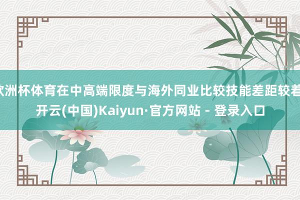 欧洲杯体育在中高端限度与海外同业比较技能差距较着-开云(中国)Kaiyun·官方网站 - 登录入口