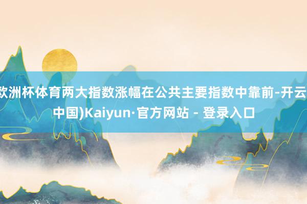 欧洲杯体育两大指数涨幅在公共主要指数中靠前-开云(中国)Kaiyun·官方网站 - 登录入口