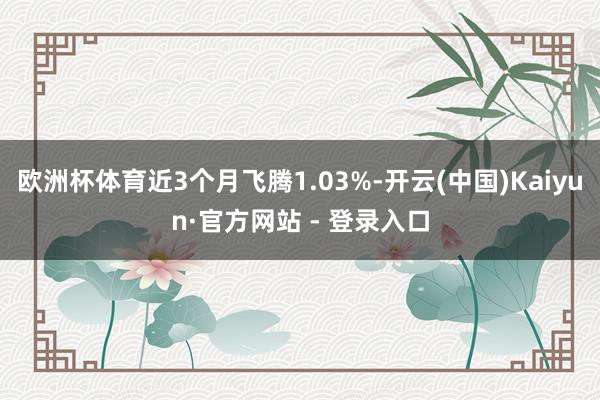 欧洲杯体育近3个月飞腾1.03%-开云(中国)Kaiyun·官方网站 - 登录入口