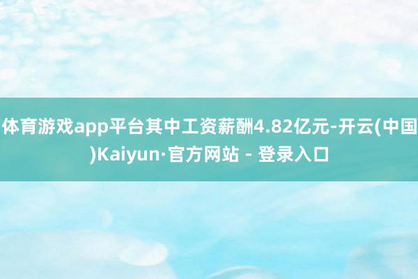 体育游戏app平台其中工资薪酬4.82亿元-开云(中国)Kaiyun·官方网站 - 登录入口