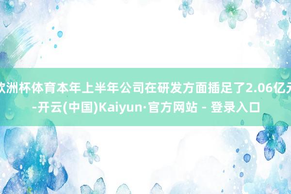 欧洲杯体育本年上半年公司在研发方面插足了2.06亿元-开云(中国)Kaiyun·官方网站 - 登录入口