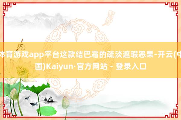 体育游戏app平台这款结巴霜的疏淡遮瑕恶果-开云(中国)Kaiyun·官方网站 - 登录入口