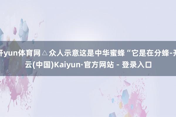 开yun体育网△众人示意这是中华蜜蜂“它是在分蜂-开云(中国)Kaiyun·官方网站 - 登录入口