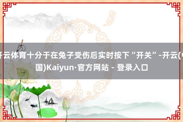 开云体育十分于在兔子受伤后实时按下“开关”-开云(中国)Kaiyun·官方网站 - 登录入口