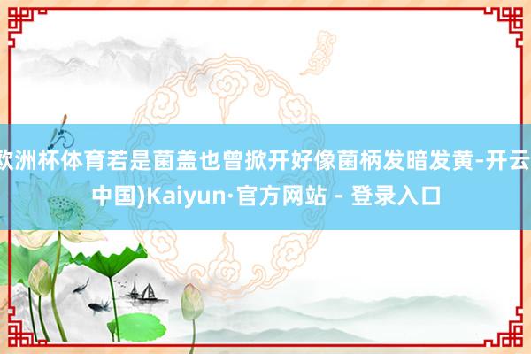 欧洲杯体育若是菌盖也曾掀开好像菌柄发暗发黄-开云(中国)Kaiyun·官方网站 - 登录入口